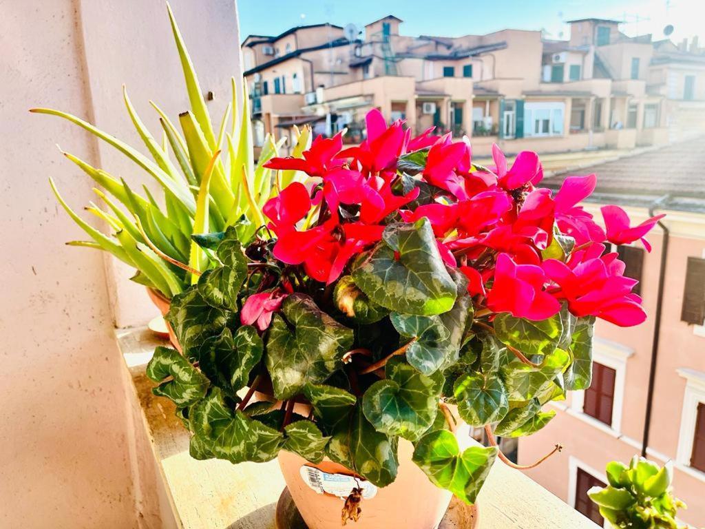 Green Guesthouse Roma Exterior foto